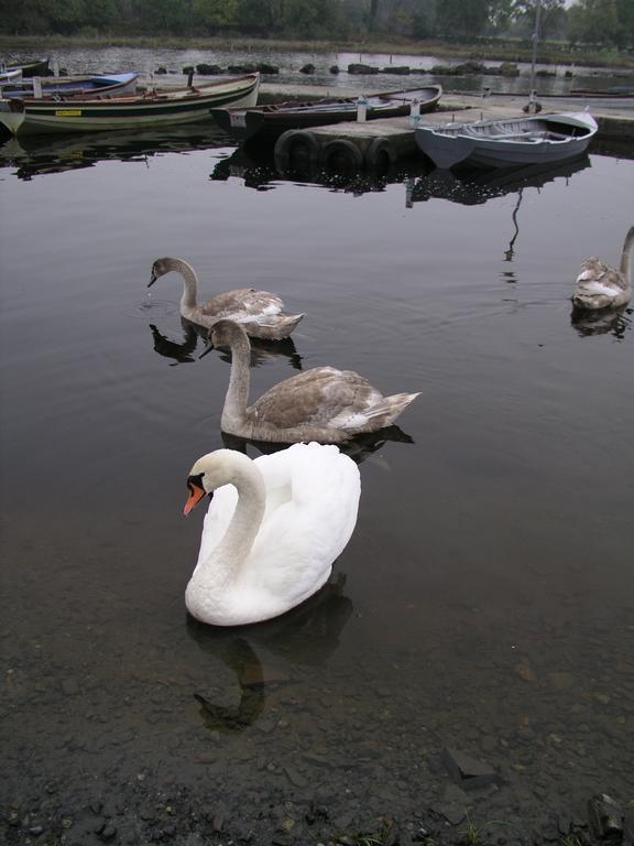 Lakeland Midsummer Lakehouse Oughterard Eksteriør bilde